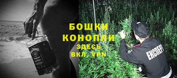 гашик Арсеньев