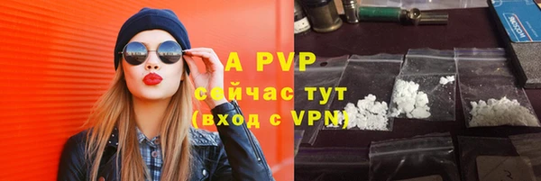 гашик Арсеньев