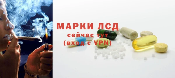 гашик Арсеньев
