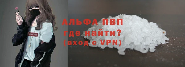 гашик Арсеньев
